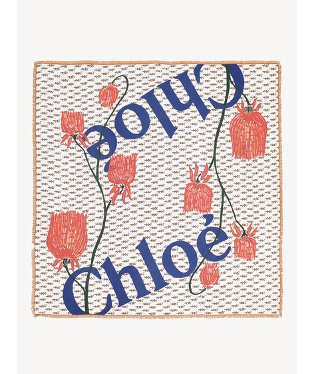 CHLOE Мульти кашемировый шарф, фото 3
