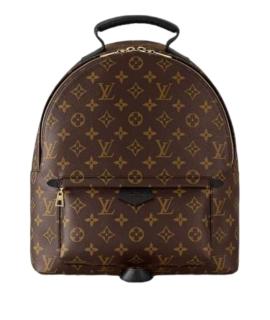 LOUIS VUITTON Рюкзак