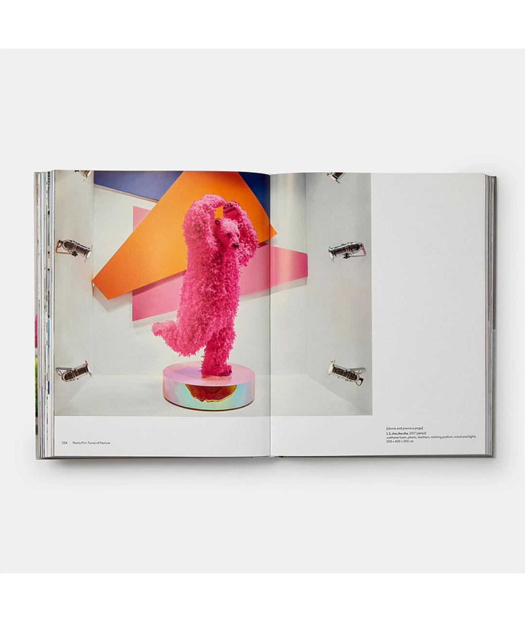 PHAIDON Мульти книга, фото 8