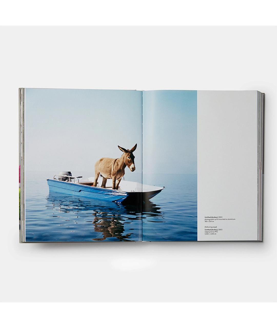 PHAIDON Мульти книга, фото 6