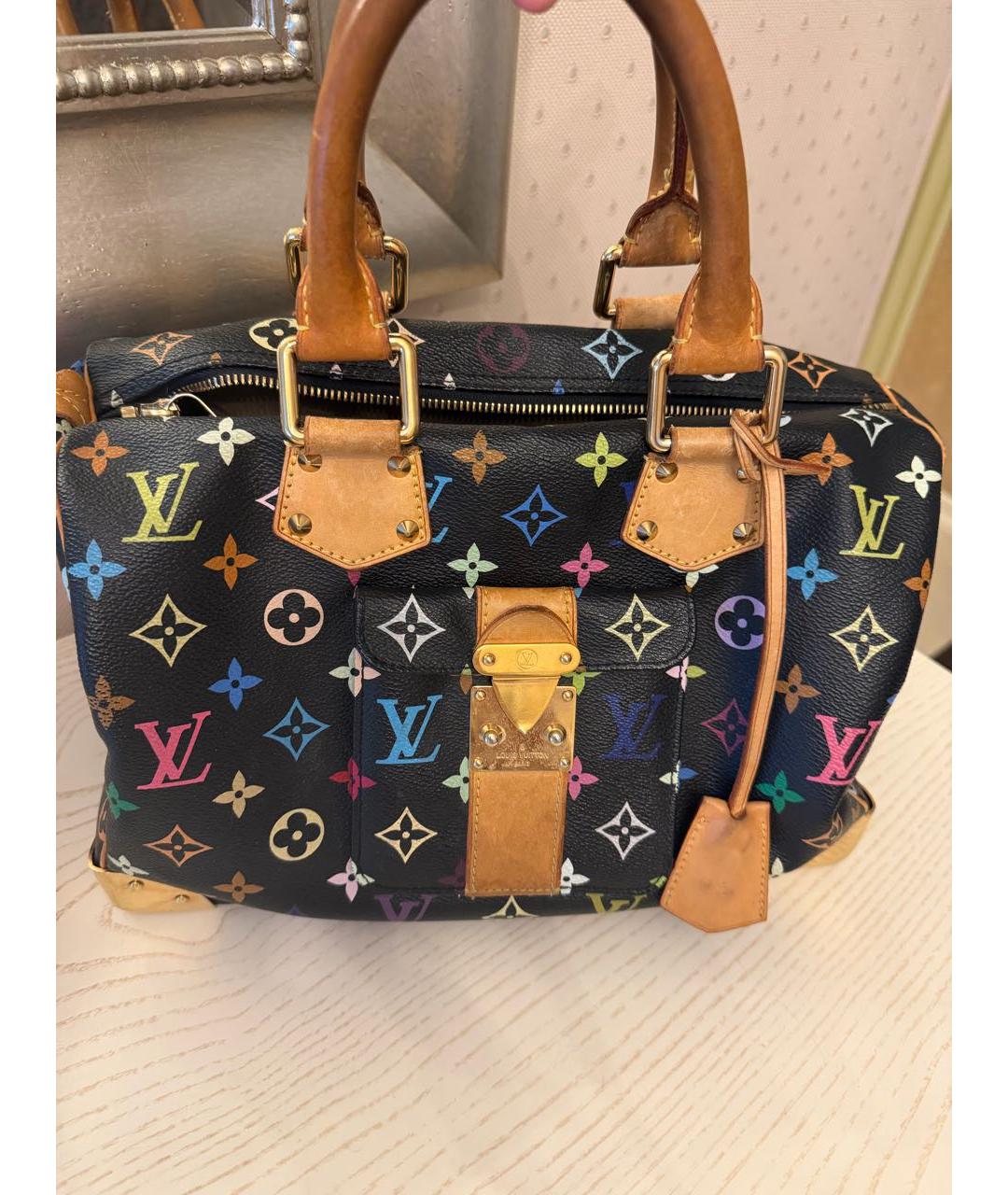LOUIS VUITTON Мульти канва сумка с короткими ручками, фото 7