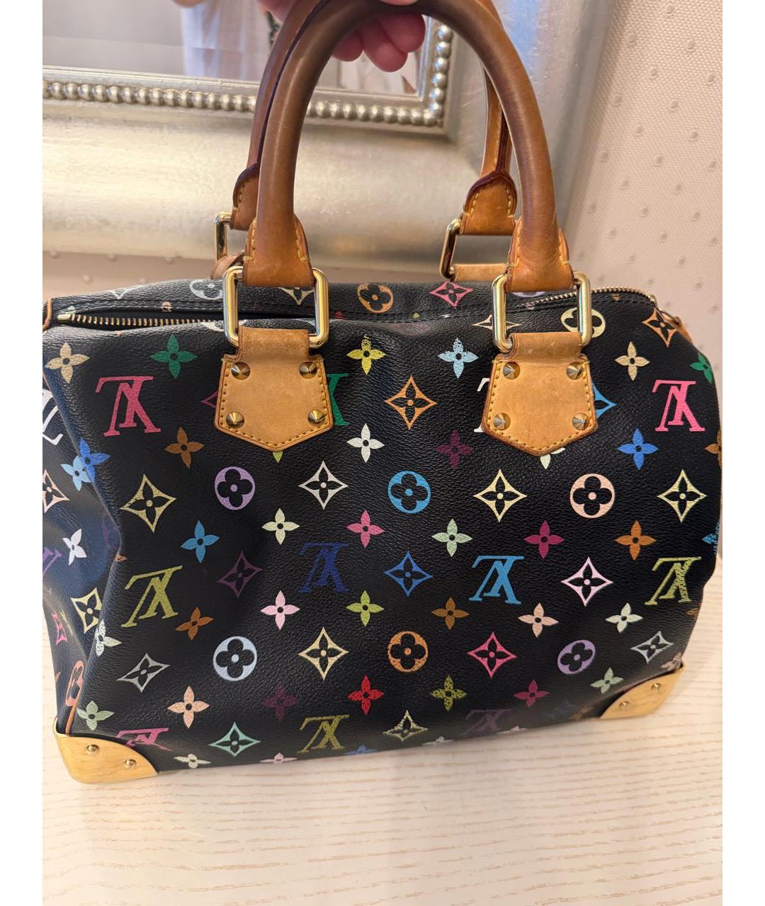 LOUIS VUITTON Мульти канва сумка с короткими ручками, фото 2
