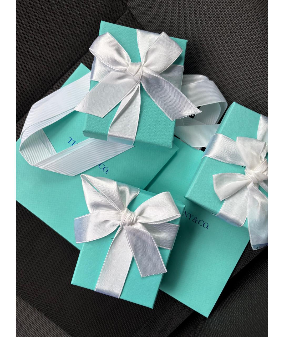 TIFFANY&CO Серебряные серебряные серьги, фото 2