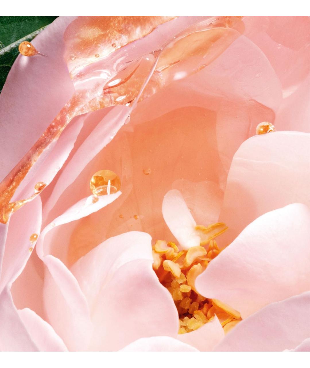 DIOR BEAUTY Аромат для женщин, фото 2
