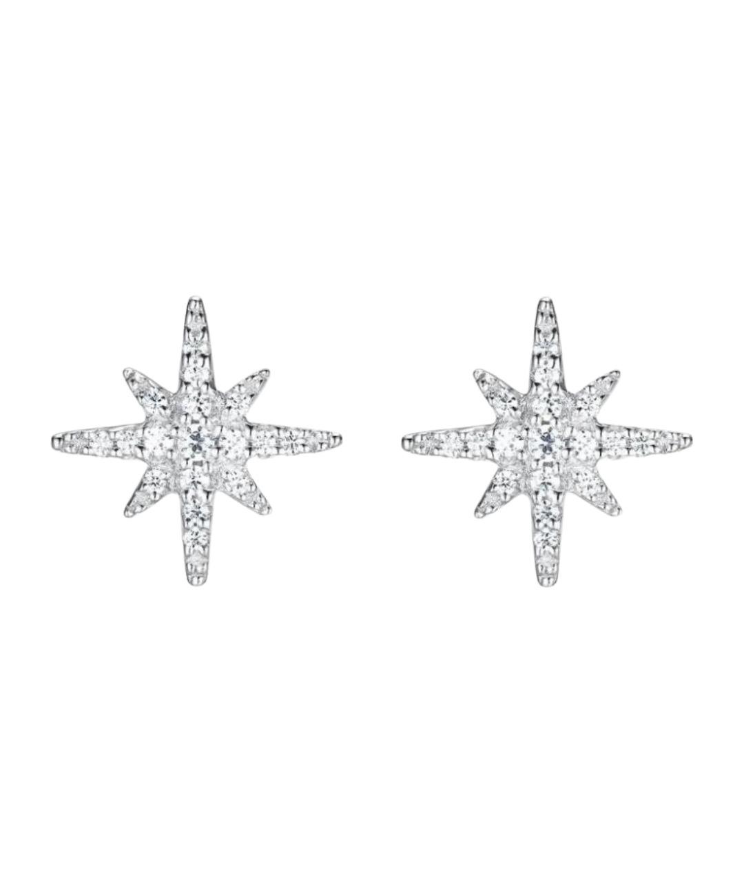 APM Monaco Серебряные серебряные серьги, фото 1