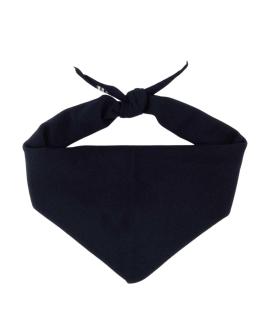 EXTREME CASHMERE Шарф