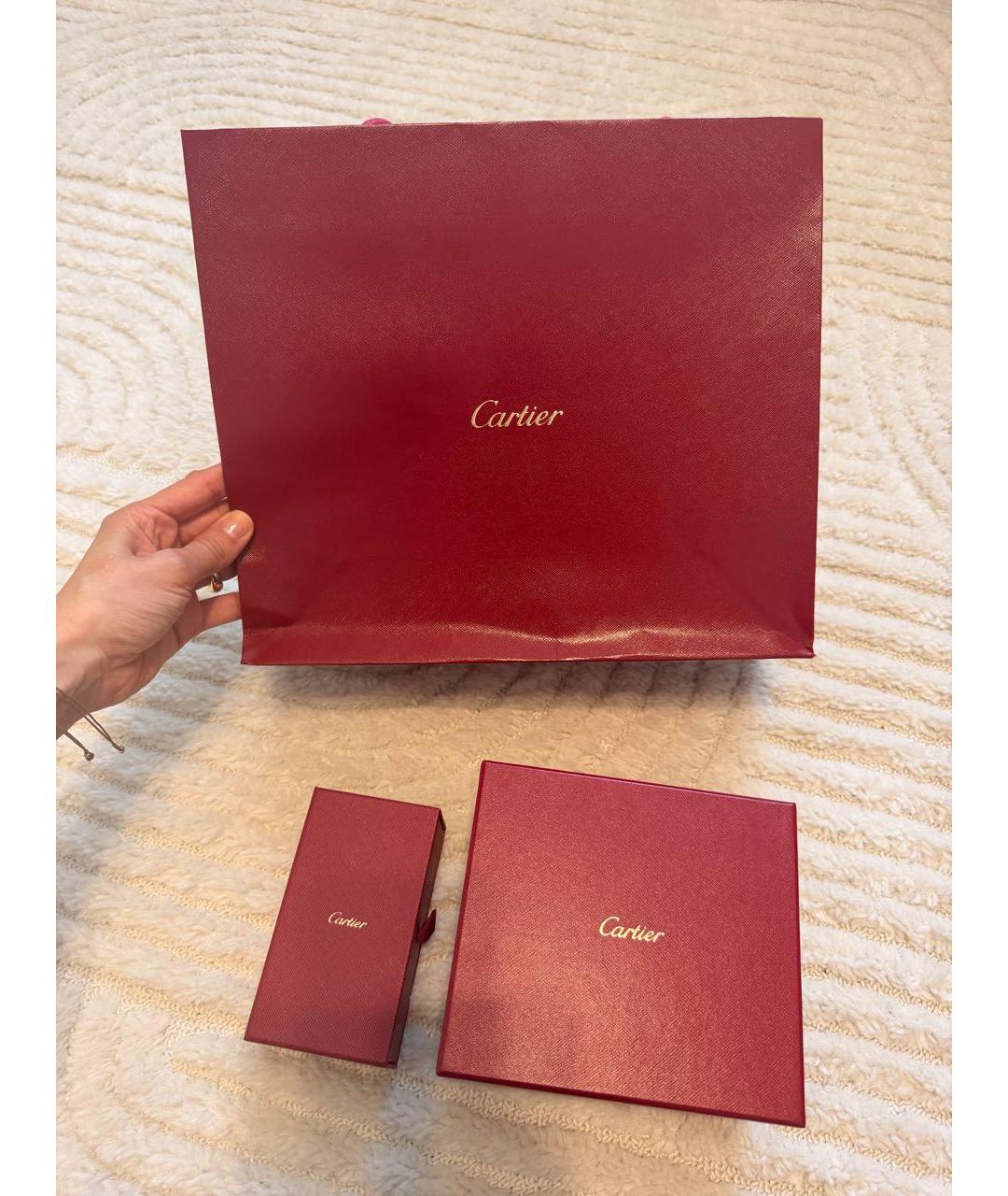 CARTIER Серебряные часы, фото 7