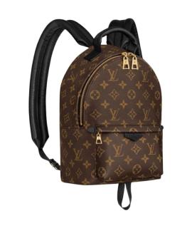 LOUIS VUITTON Рюкзак