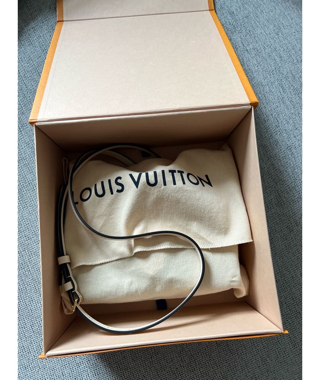 LOUIS VUITTON PRE-OWNED Белая кожаная сумка с короткими ручками, фото 7