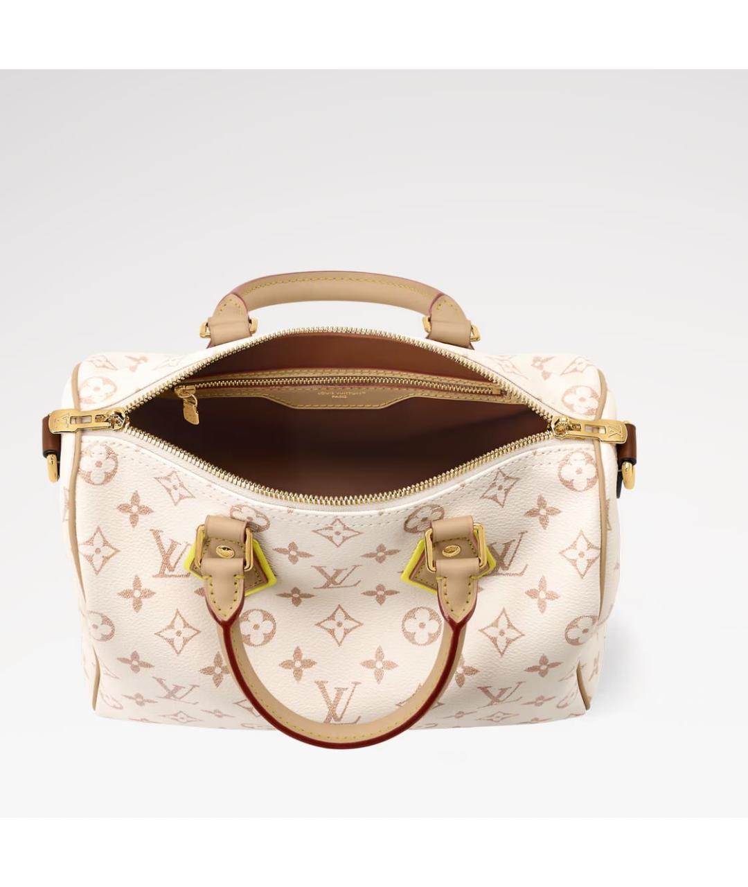 LOUIS VUITTON Сумка тоут, фото 2