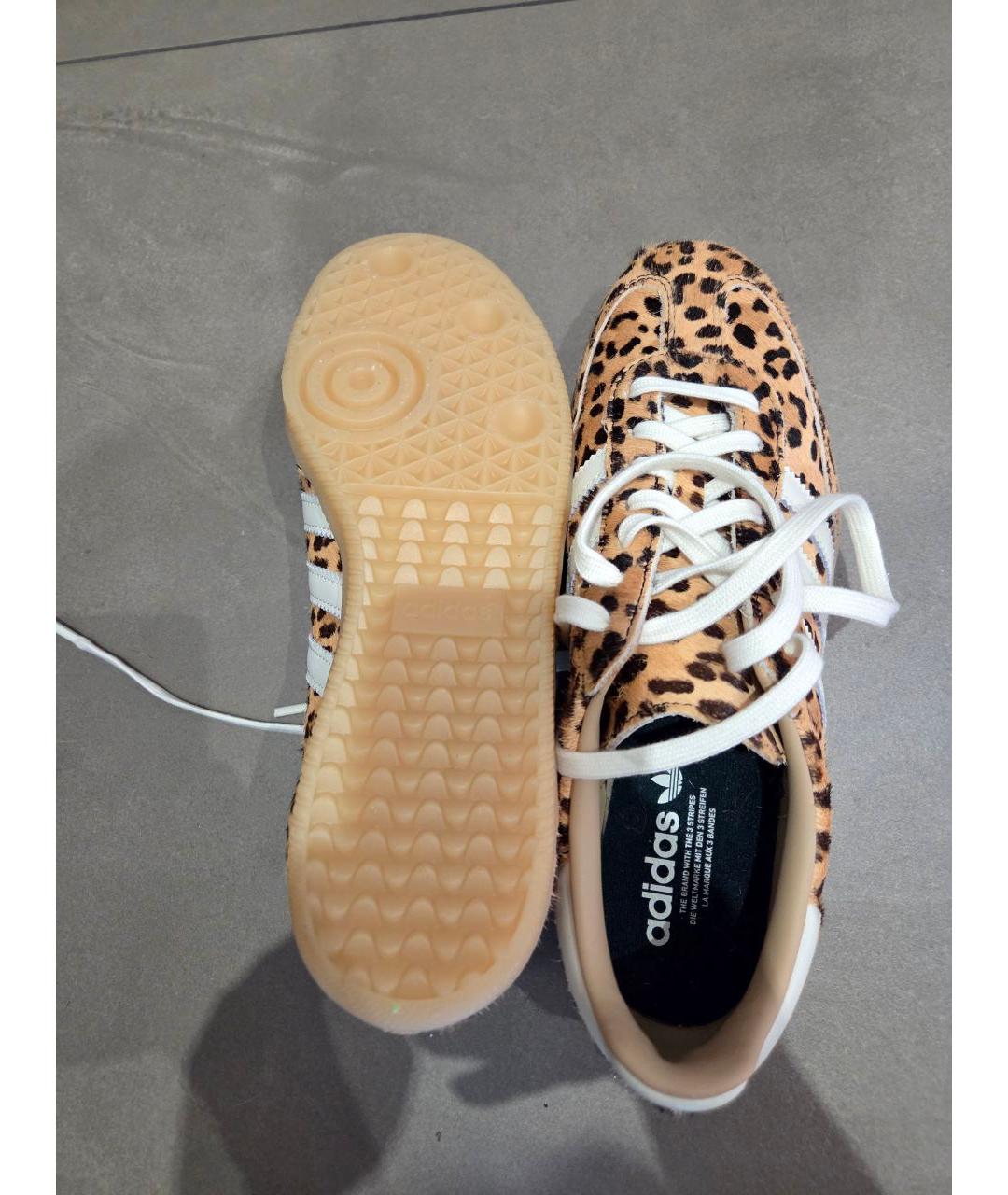 ADIDAS Мульти кеды, фото 4