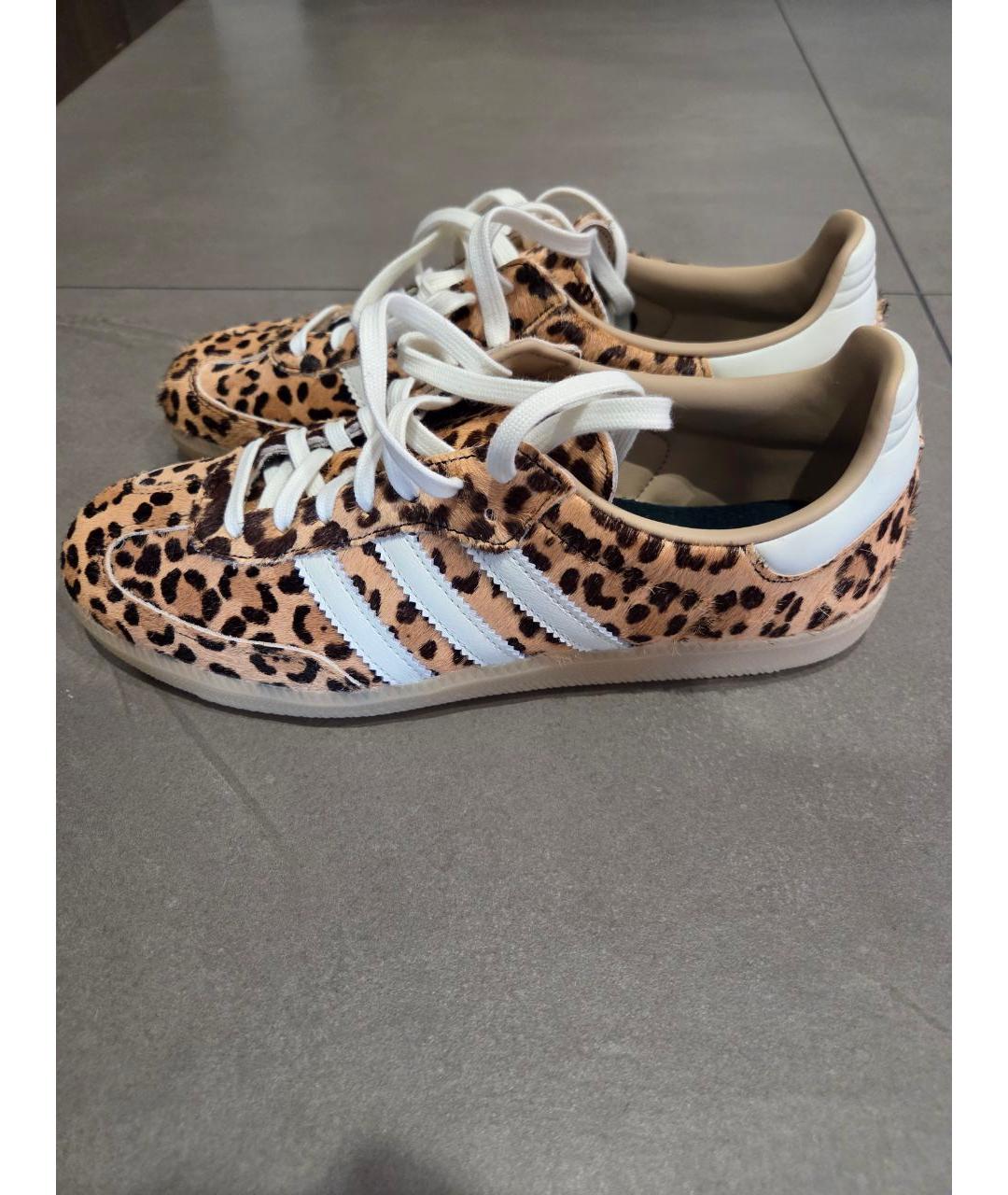 ADIDAS Мульти кеды, фото 5