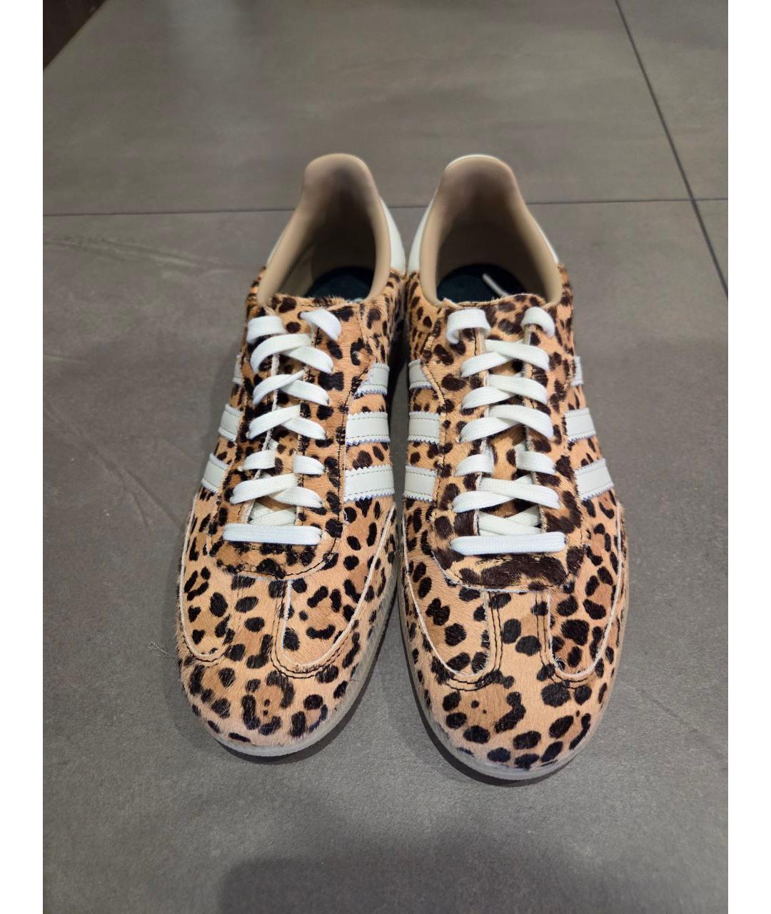 ADIDAS Мульти кеды, фото 2