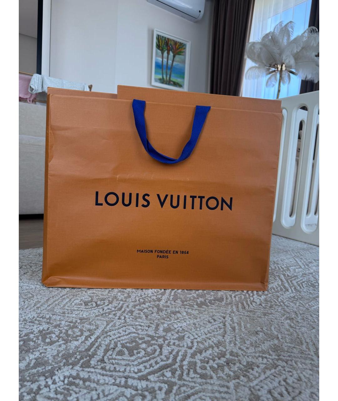 LOUIS VUITTON Антрацитовый рюкзак из канвы, фото 5
