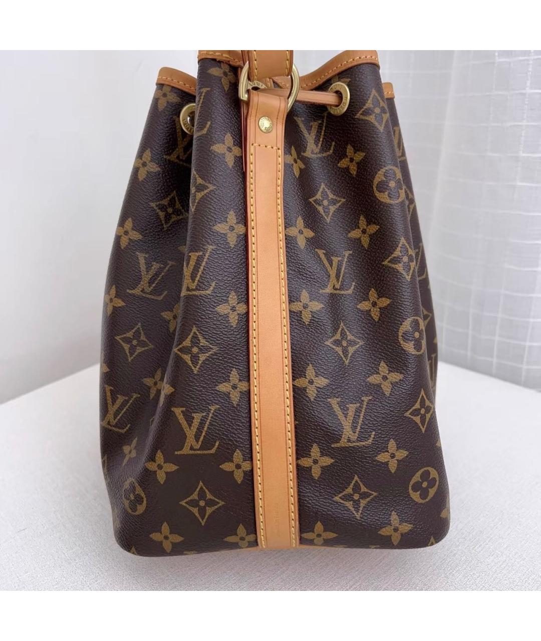 LOUIS VUITTON Коричневая кожаная сумка тоут, фото 4