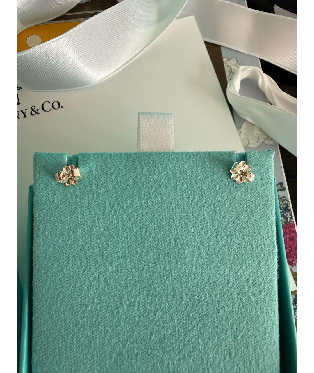 TIFFANY&CO Серебряные серебряные серьги, фото 7