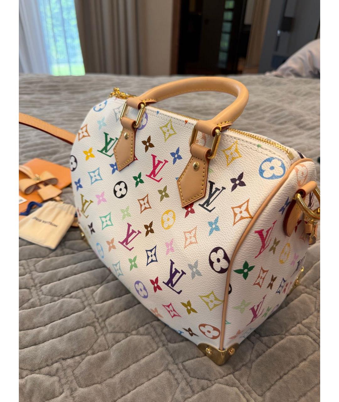 LOUIS VUITTON Мульти кожаная сумка с короткими ручками, фото 2