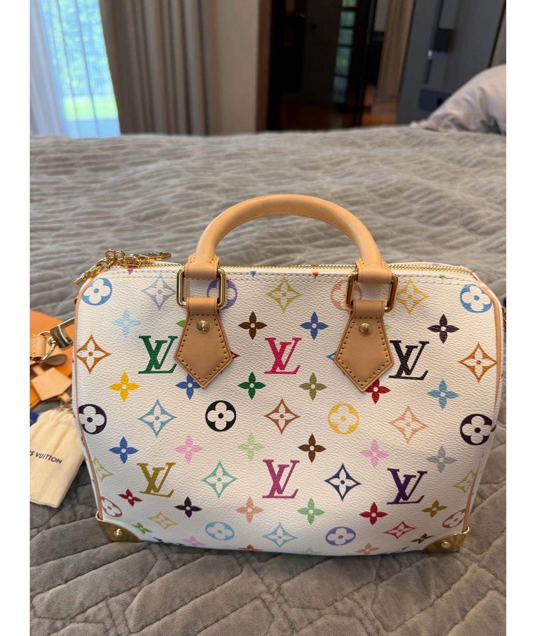 LOUIS VUITTON Мульти кожаная сумка с короткими ручками, фото 8