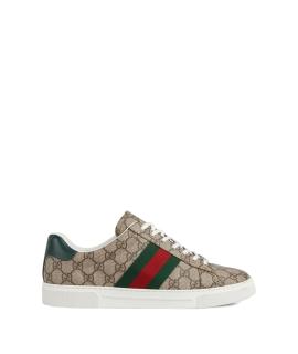 GUCCI Кроссовки