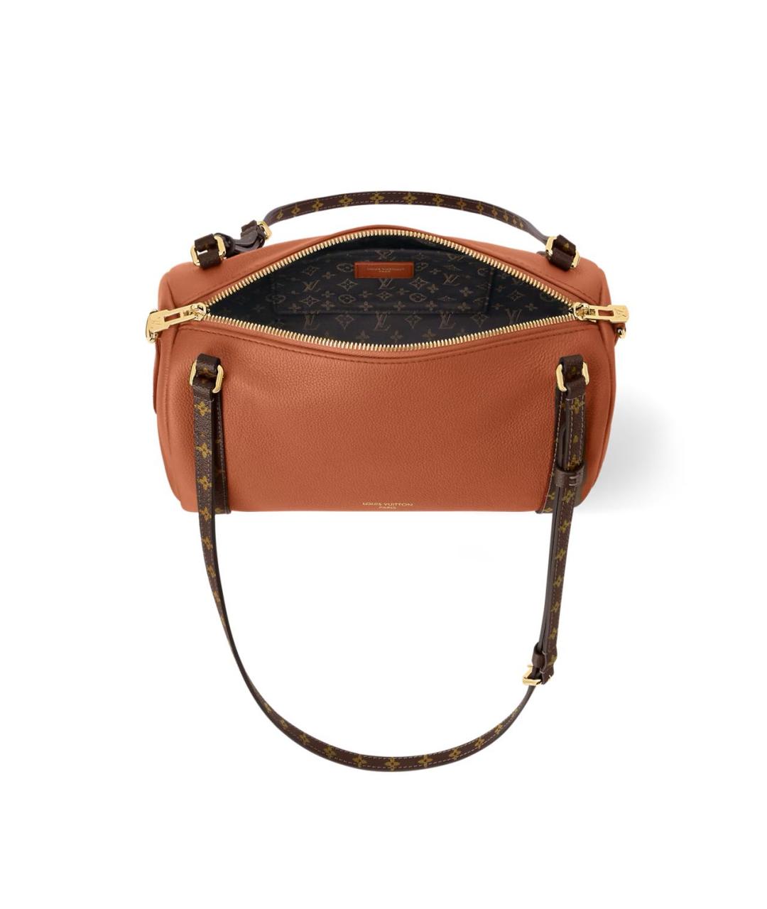 LOUIS VUITTON Коричневая кожаная сумка с короткими ручками, фото 3
