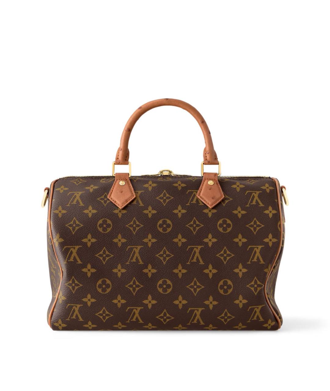 LOUIS VUITTON Коричневая кожаная сумка тоут, фото 4