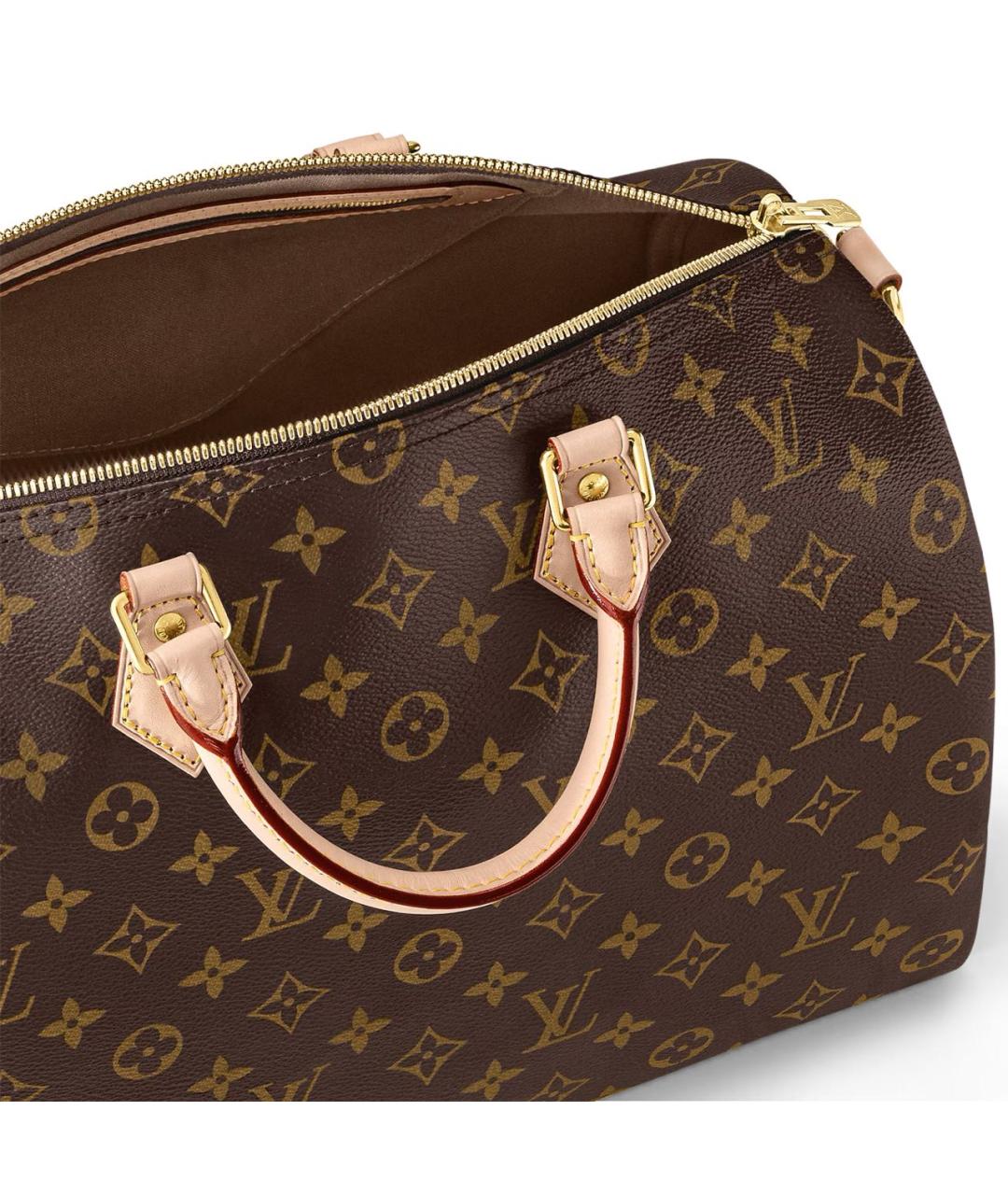 LOUIS VUITTON Коричневая кожаная сумка тоут, фото 4