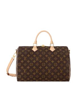 LOUIS VUITTON Сумка тоут