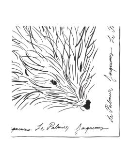 JACQUEMUS Шарф