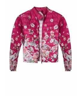 MONCLER Куртка