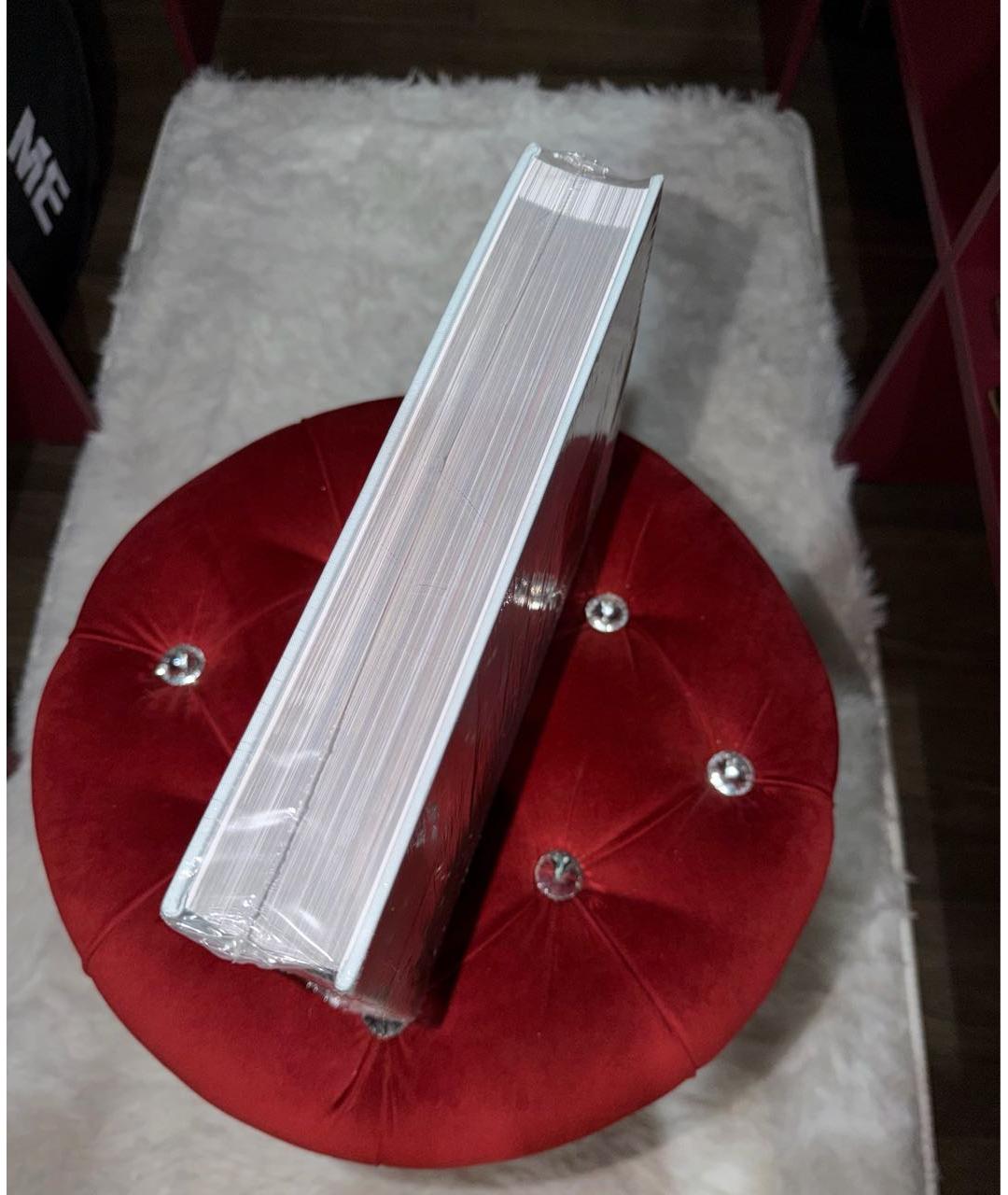 PRADA Голубая книга, фото 3