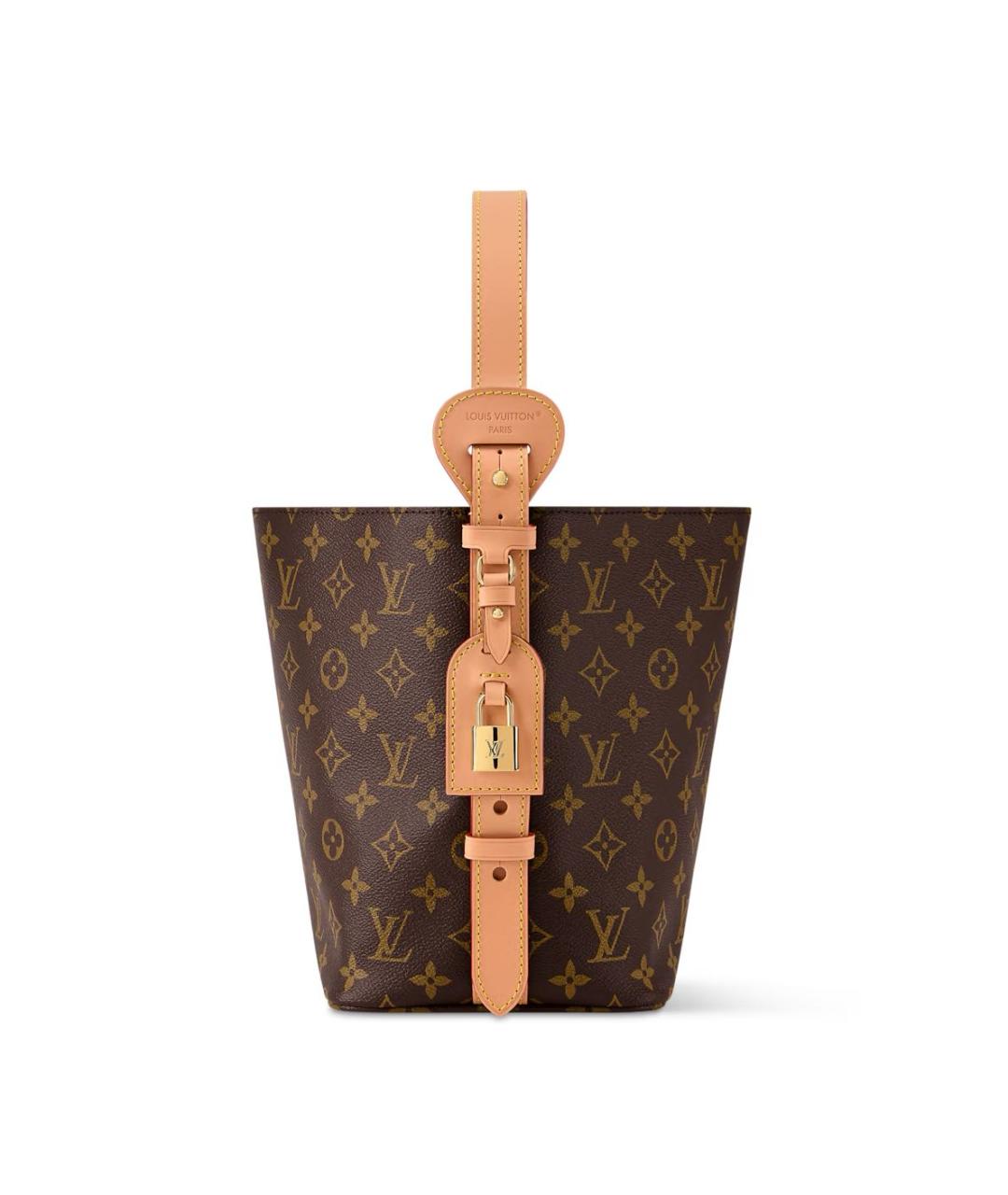 LOUIS VUITTON Коричневая сумка через плечо из канвы, фото 4