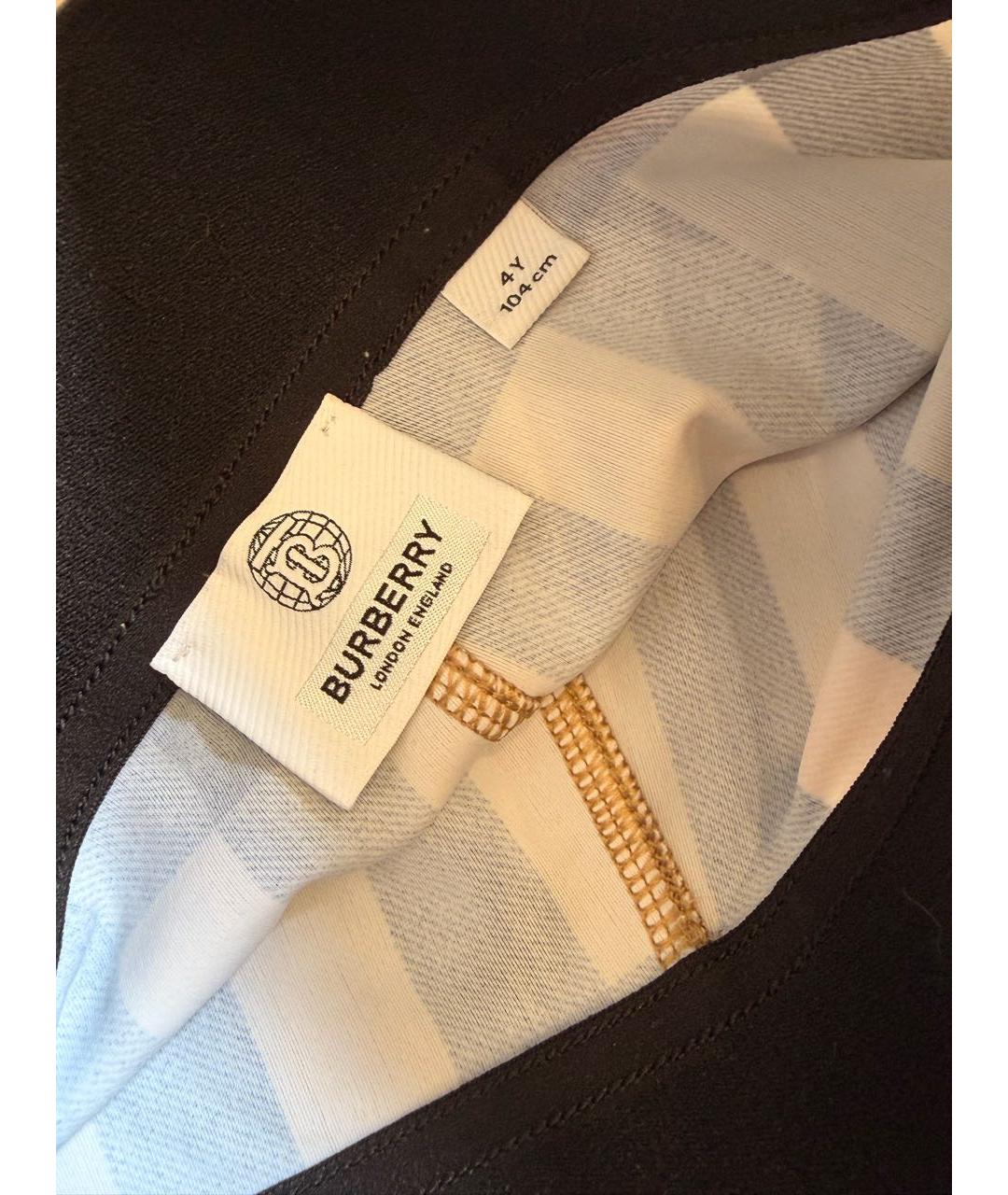 BURBERRY Коричневые брюки и шорты, фото 3