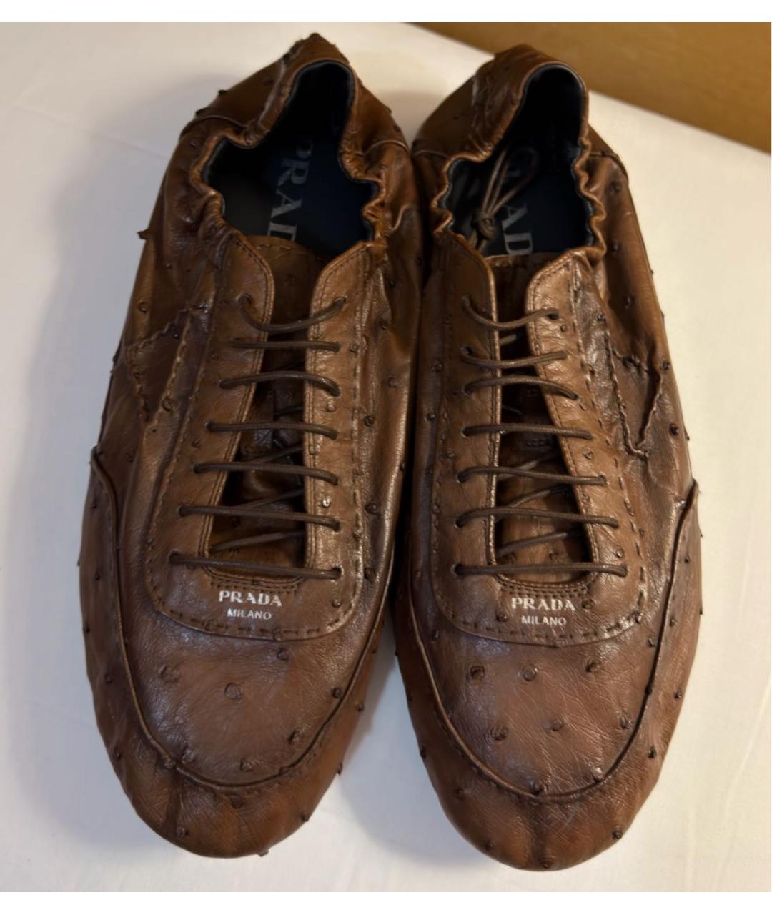 PRADA Коричневые низкие кроссовки / кеды из экзотической кожи, фото 2
