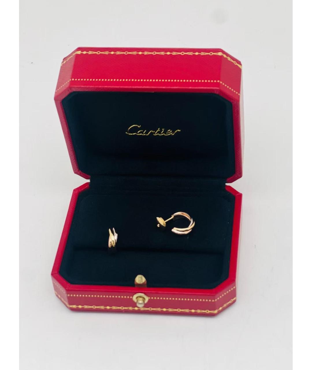 TIFFANY&CO Серьги, фото 4