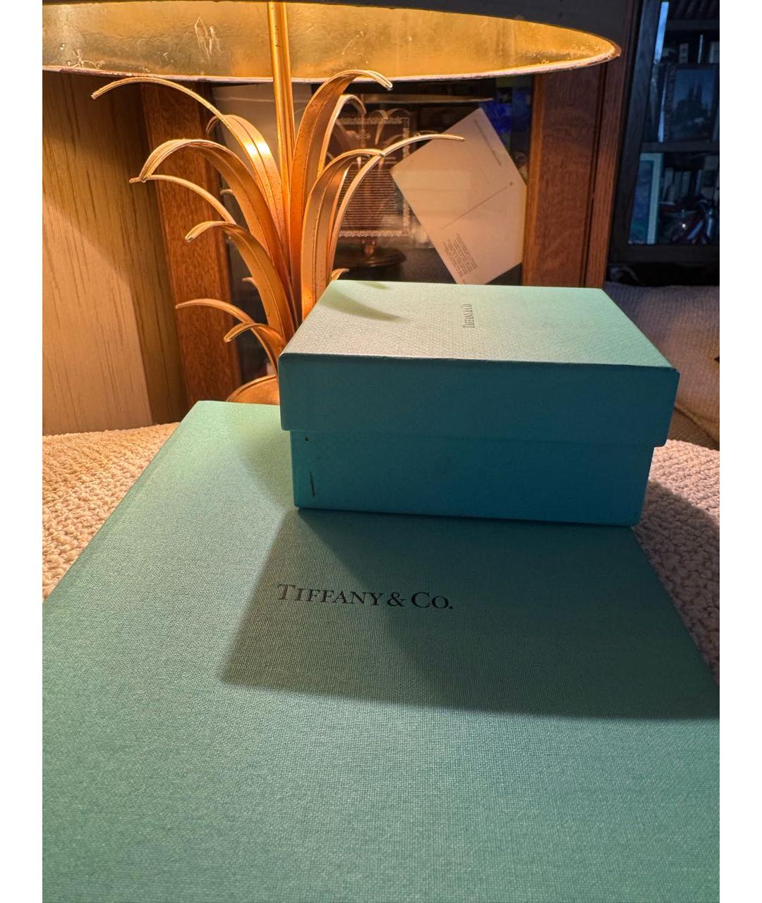 TIFFANY&CO Серебряные серьги из белого золота, фото 3