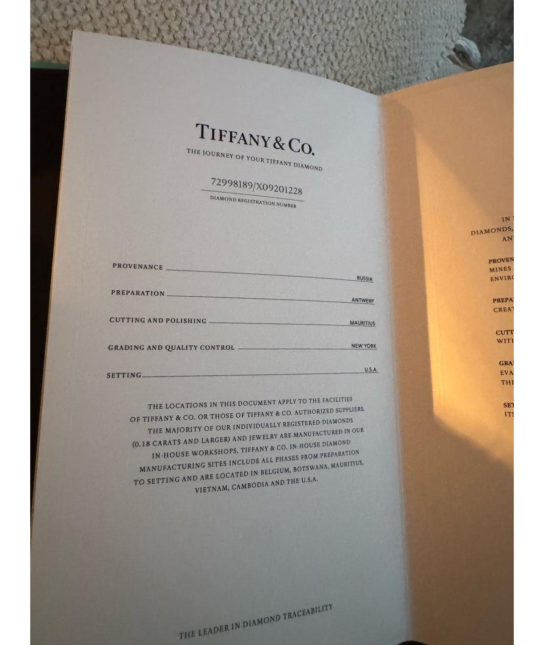 TIFFANY&CO Серебряные серьги из белого золота, фото 4