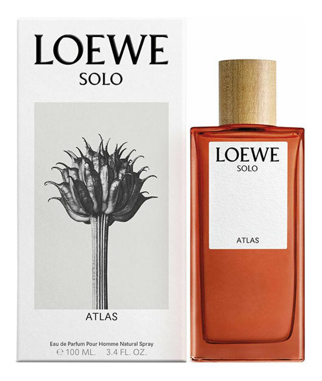 LOEWE Аромат для мужчин, фото 2