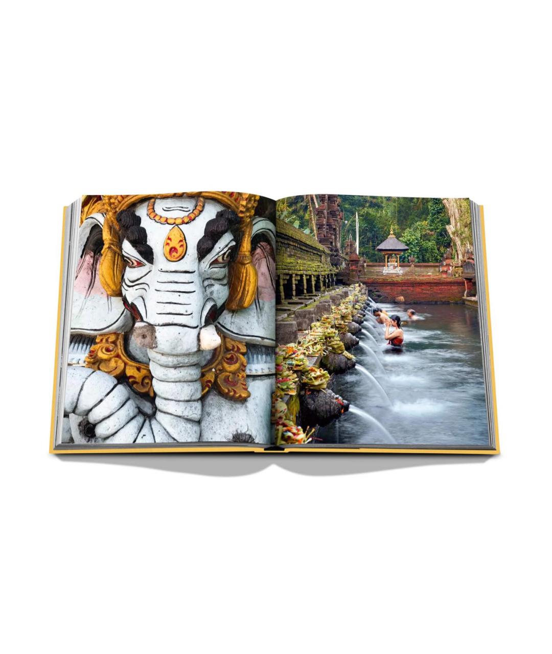 ASSOULINE Желтая книга, фото 2