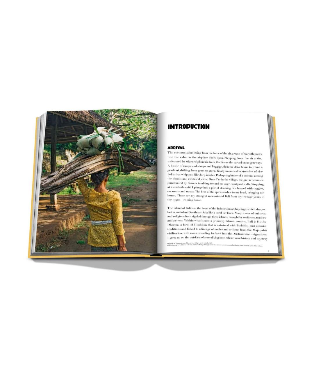 ASSOULINE Желтая книга, фото 7