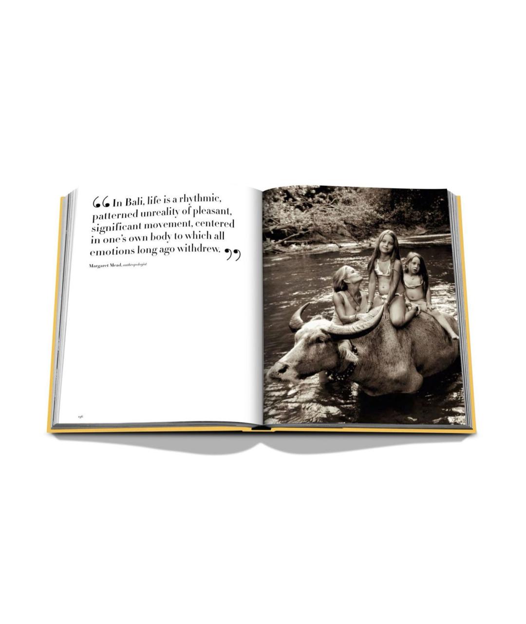 ASSOULINE Желтая книга, фото 3