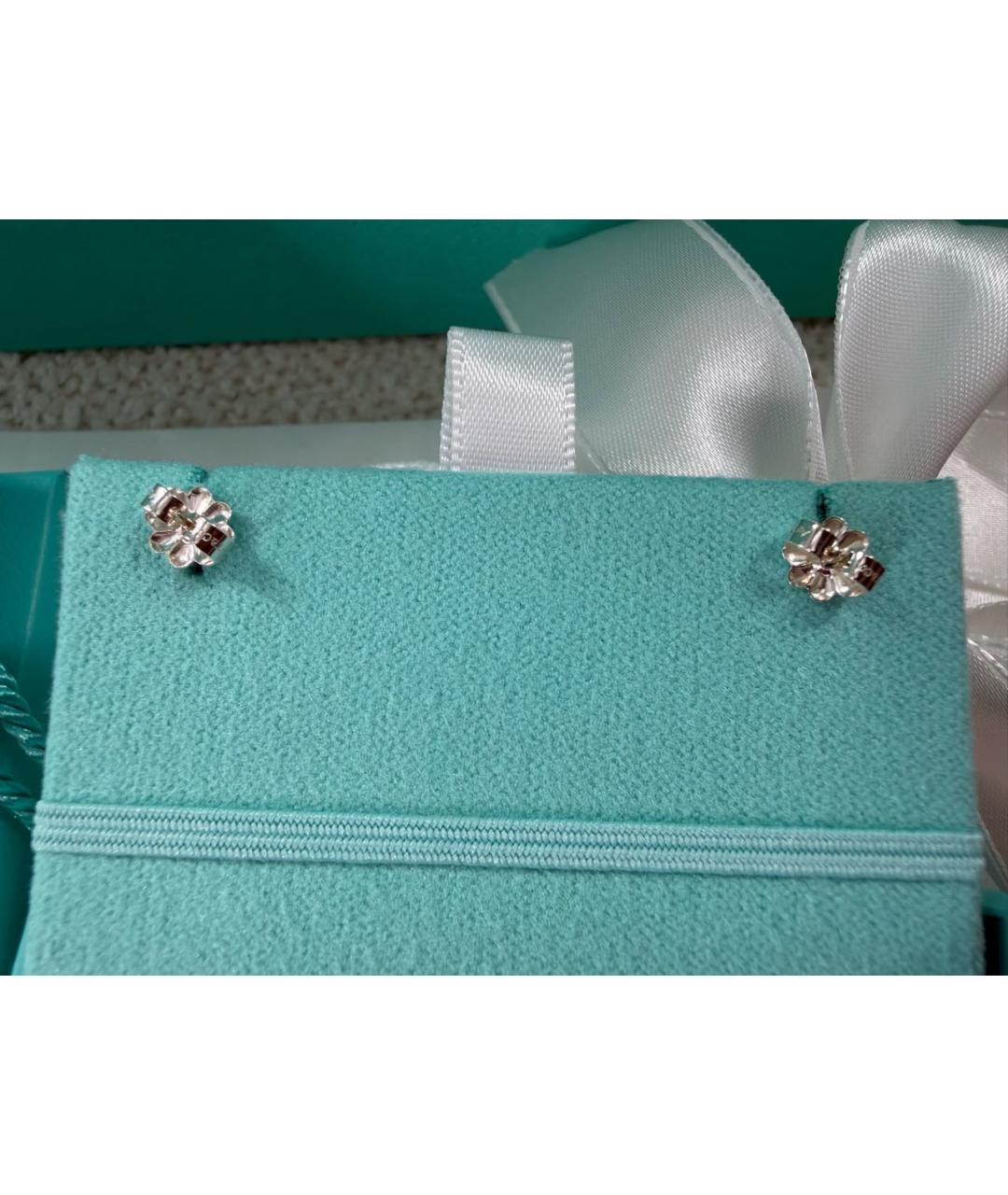 TIFFANY&CO Серебряные серебряные серьги, фото 3