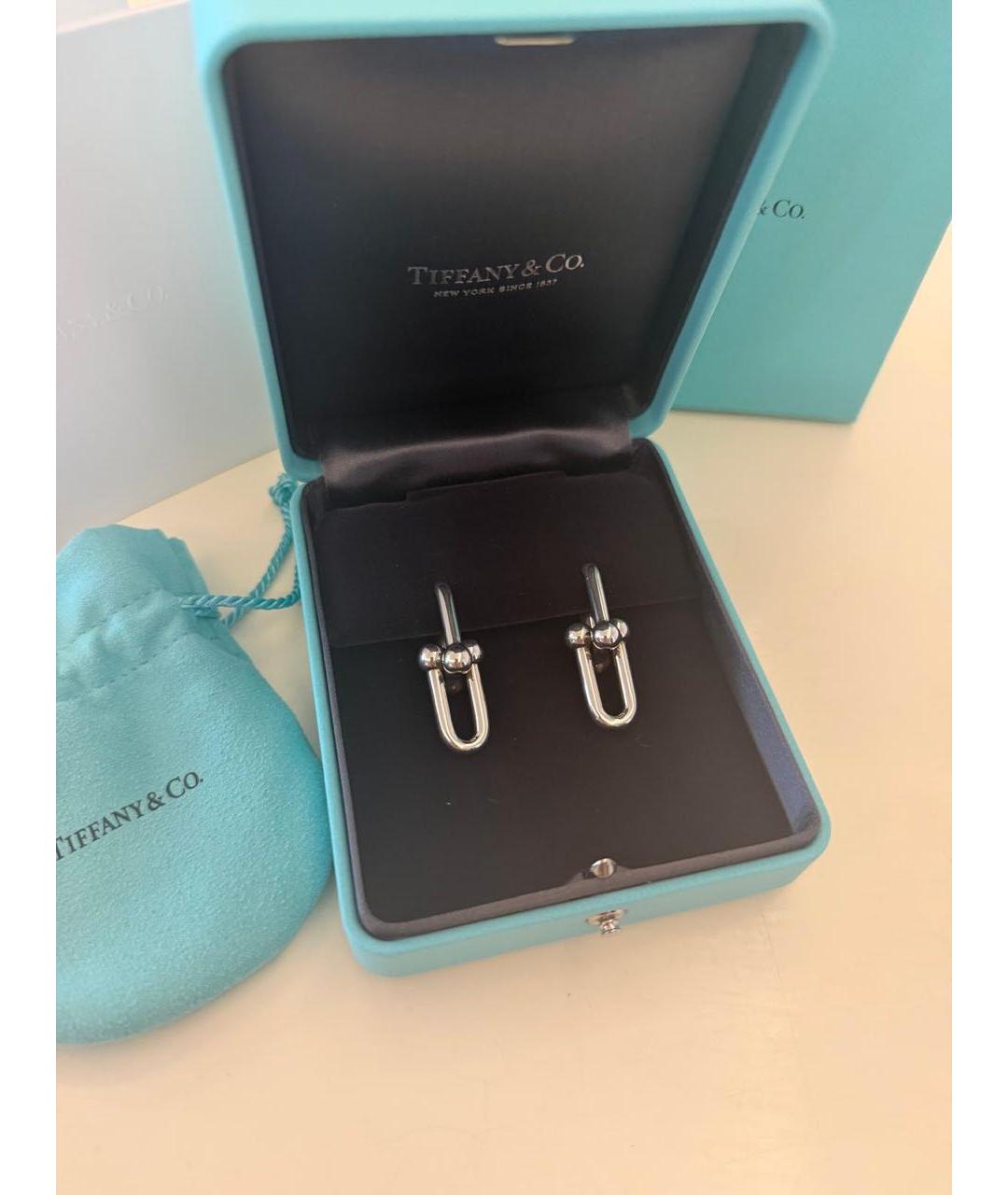 TIFFANY&CO Серебряные серебряные серьги, фото 2
