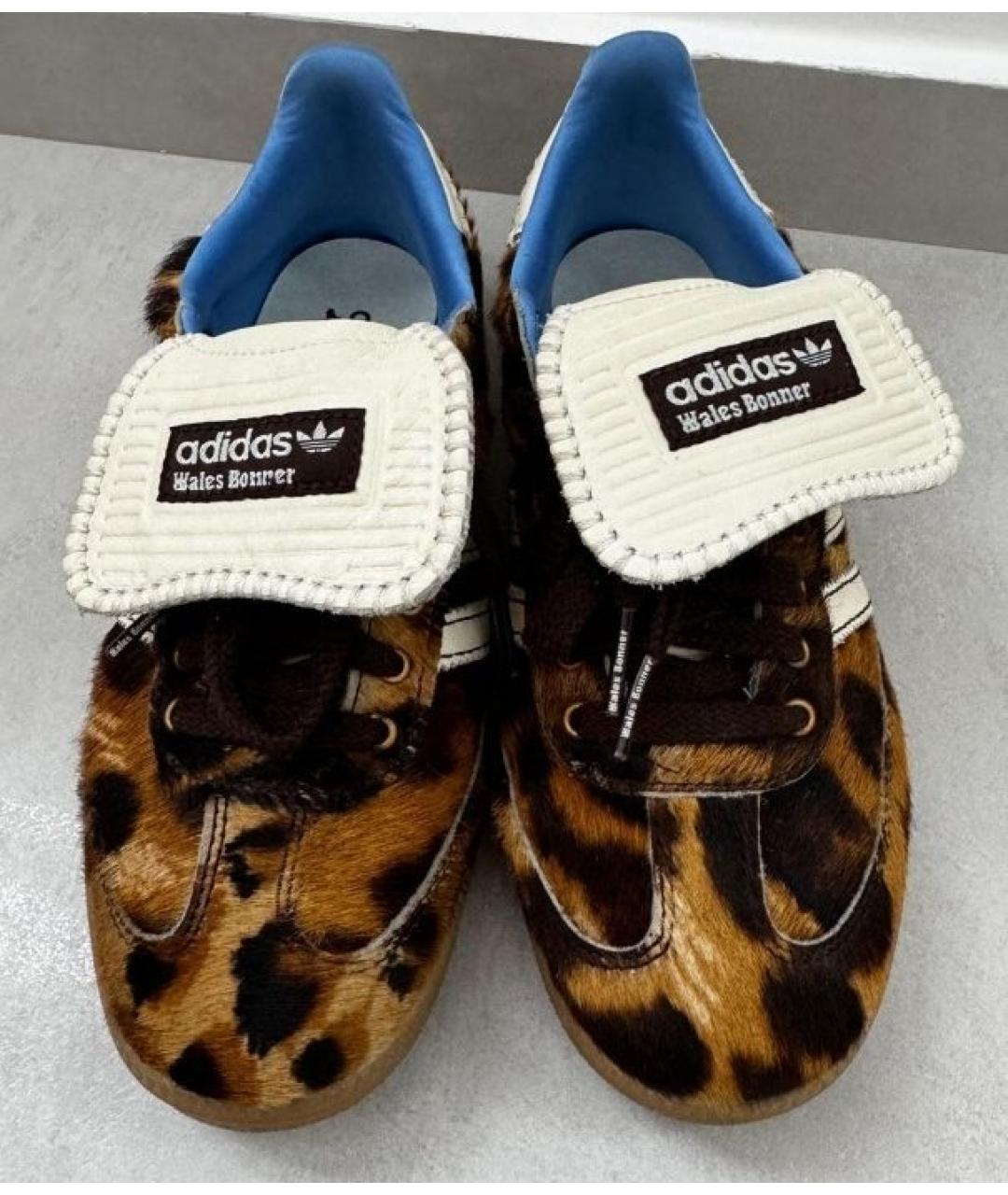 ADIDAS Кеды, фото 2