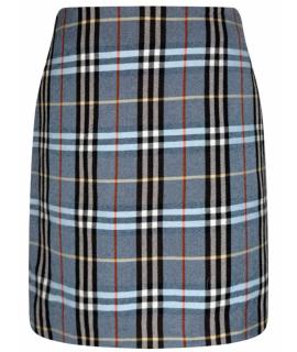 BURBERRY Юбка мини
