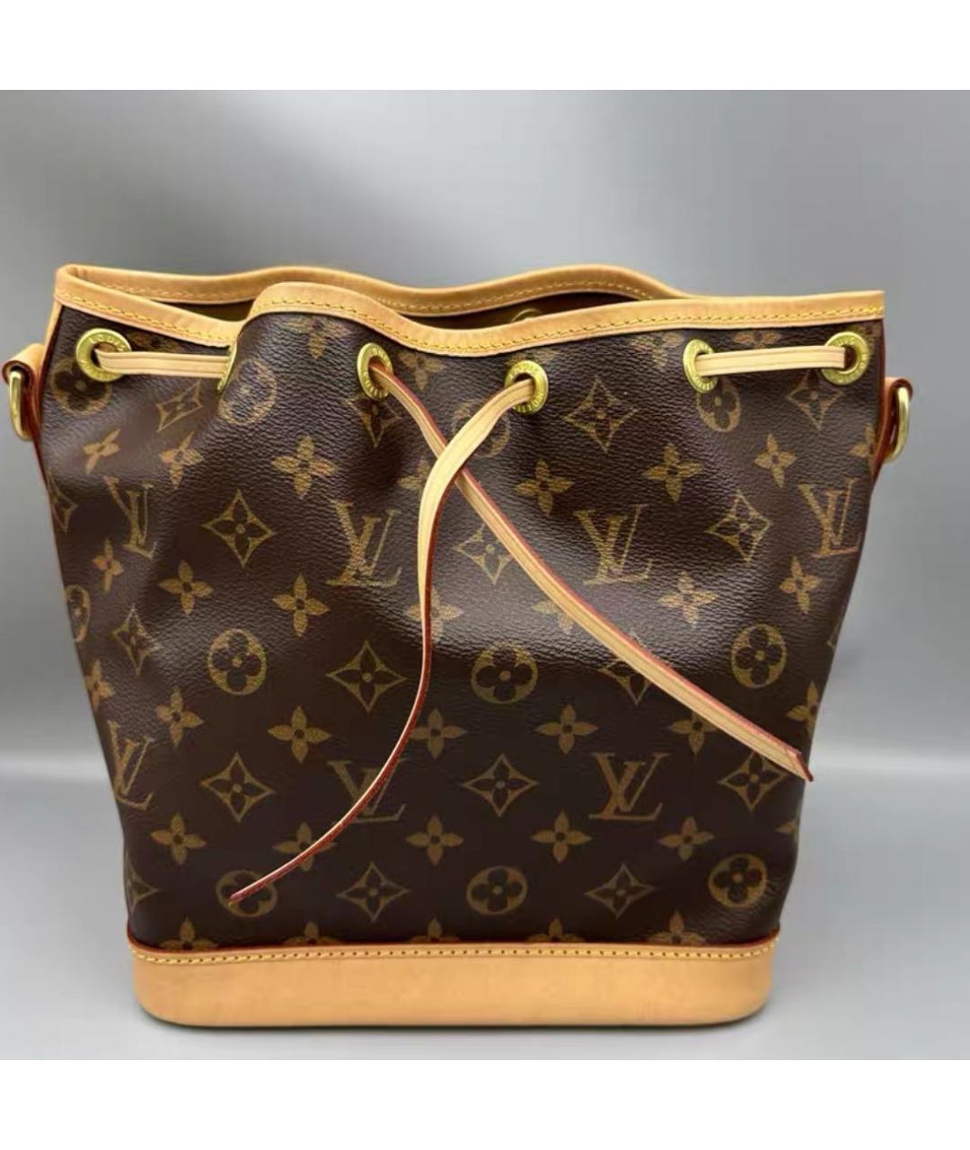 LOUIS VUITTON Коричневая сумка тоут, фото 2