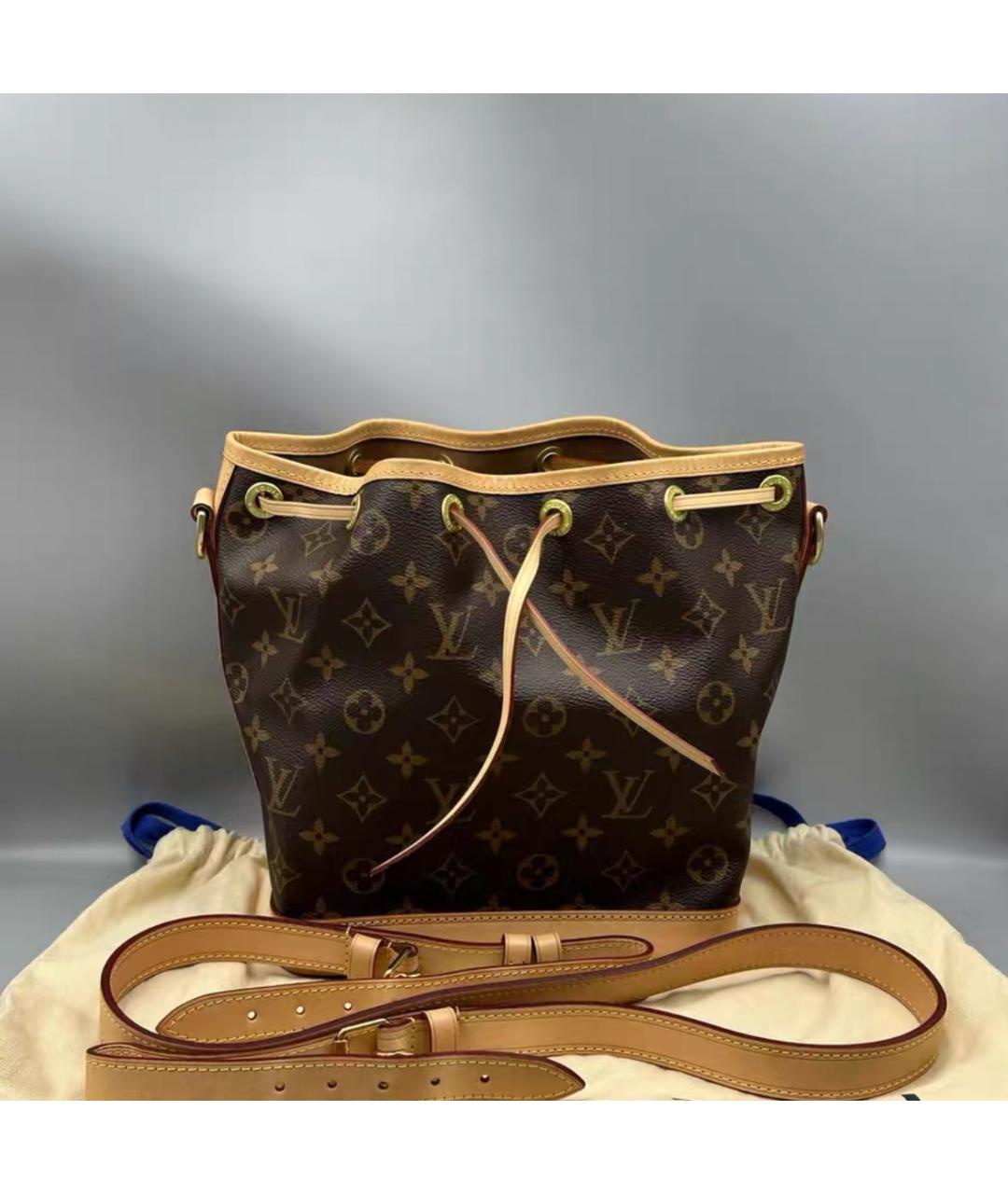 LOUIS VUITTON Коричневая сумка тоут, фото 5