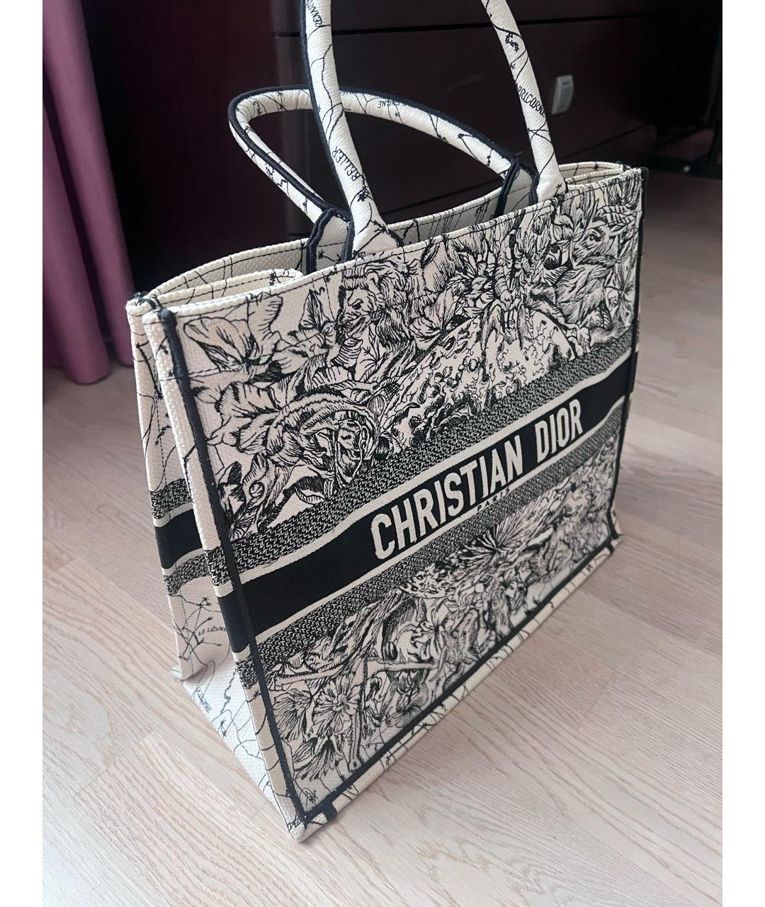 CHRISTIAN DIOR Мульти сумка тоут из канвы, фото 2
