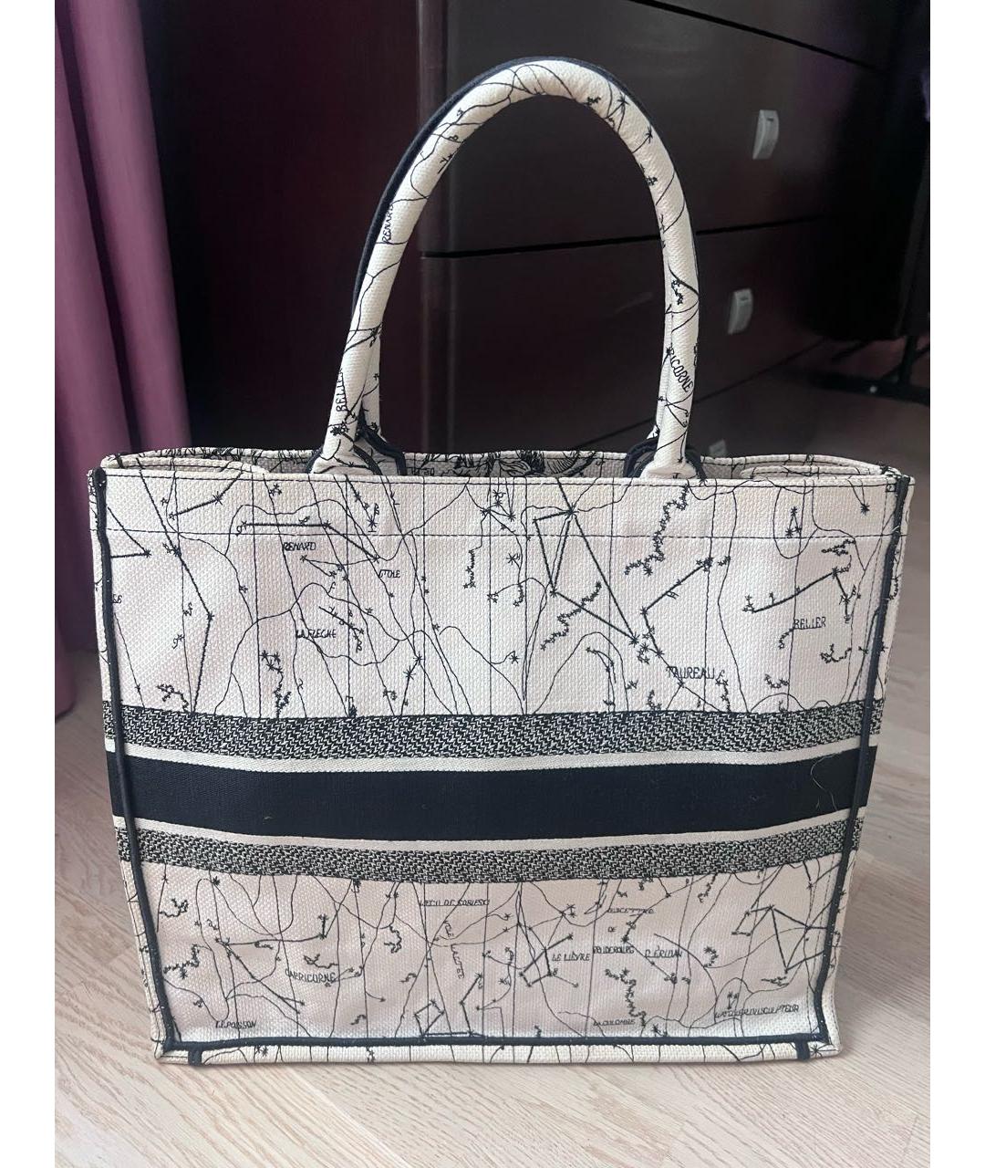 CHRISTIAN DIOR Мульти сумка тоут из канвы, фото 3