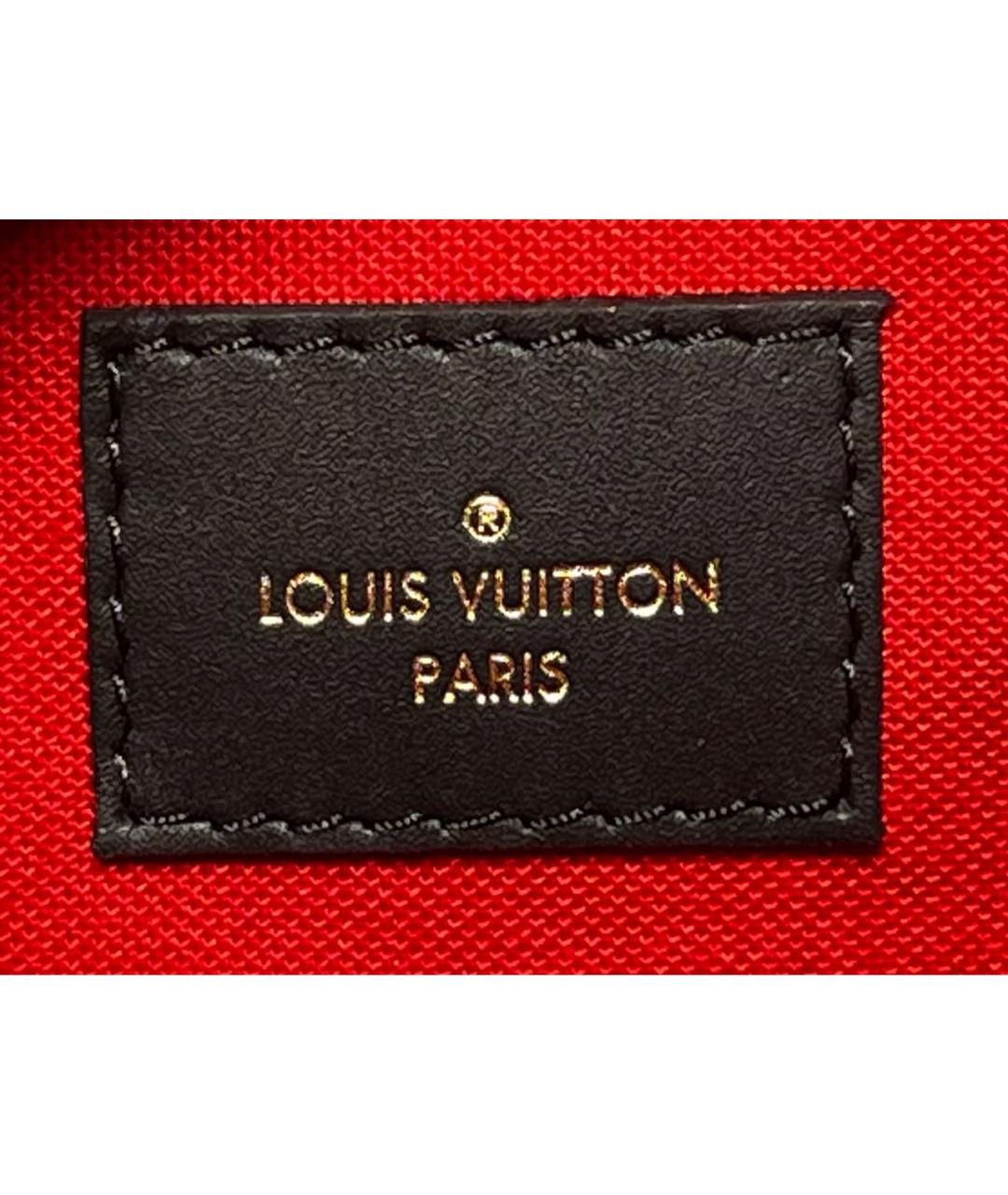 LOUIS VUITTON Коричневая сумка тоут, фото 4
