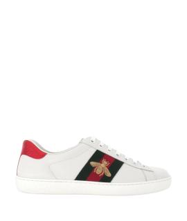 GUCCI Низкие кроссовки / кеды